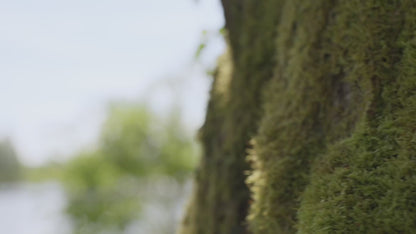 Kai Waterproof Bucket Boonie Hat